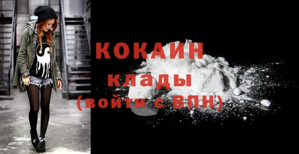 индика Дмитриев