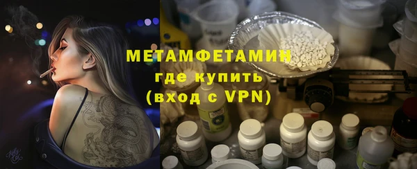 индика Дмитриев