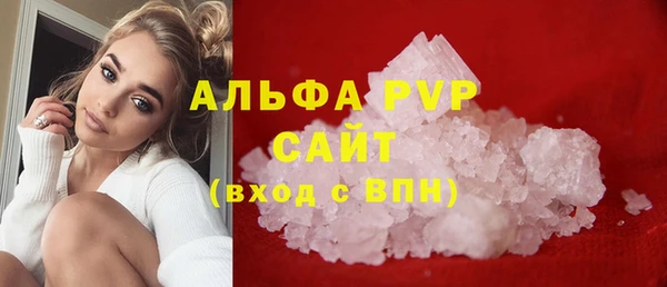 индика Дмитриев