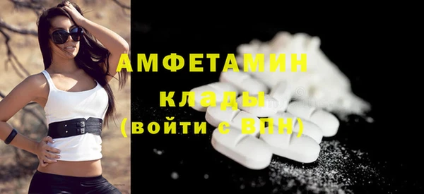соль ск Дмитров