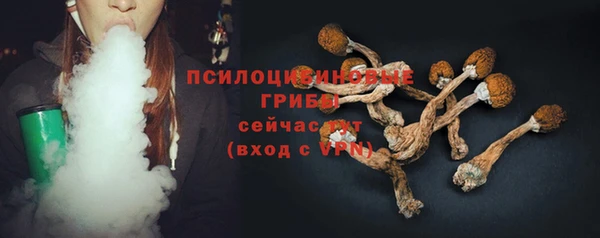 соль ск Дмитров