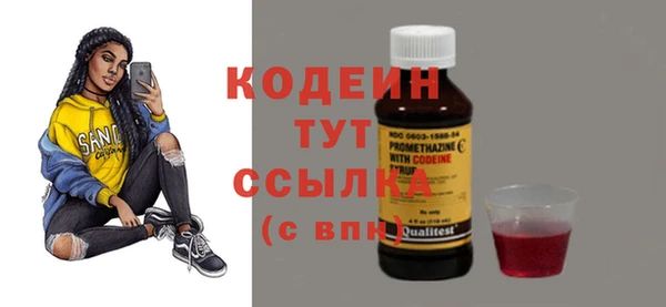 соль ск Дмитров