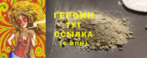 индика Дмитриев