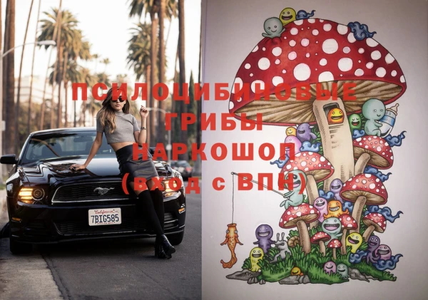мескалин Елабуга
