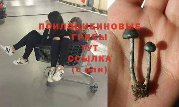 соль ск Дмитров