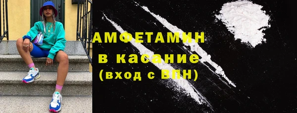индика Дмитриев