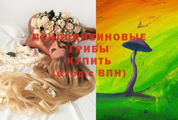 индика Дмитриев