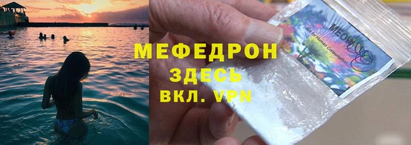 индика Дмитриев