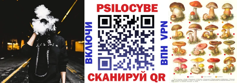 Псилоцибиновые грибы Psilocybe Купить закладки Снежногорск